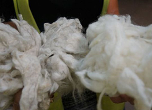 Hochwertige Wolle Kvadrat