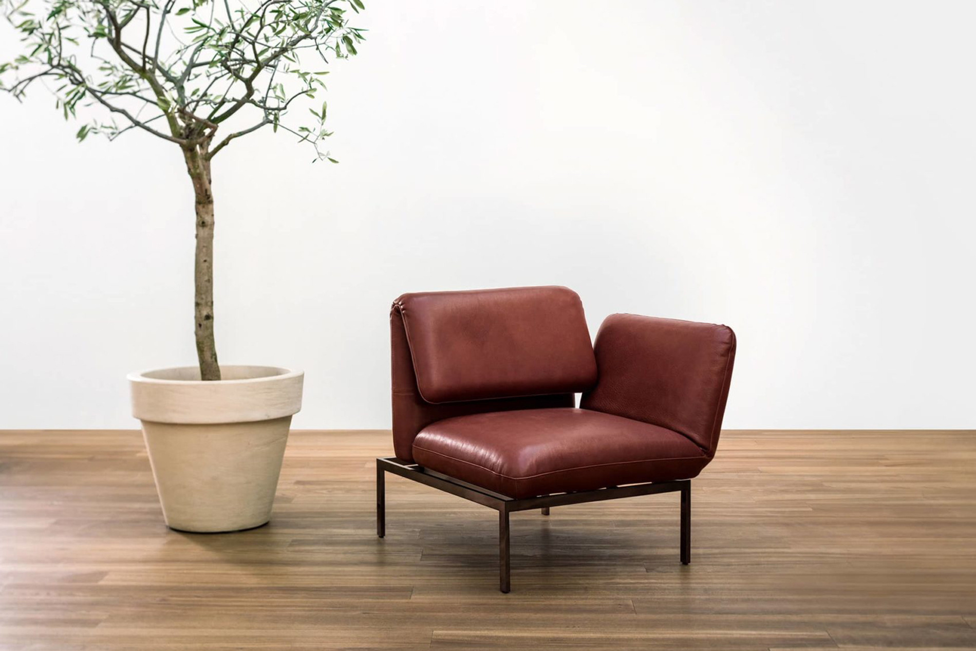 Sessel roro Brühl Leder Metallgestell schwarz