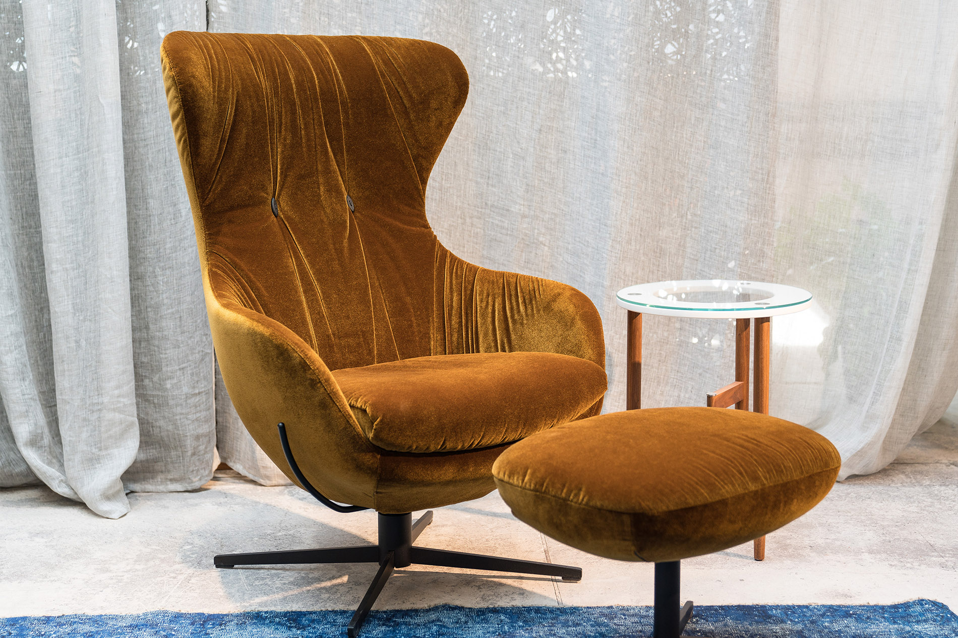 sessel shar pei signet genua samt